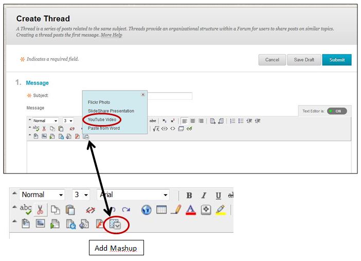 Select Mashup Option in Blackboard Editor