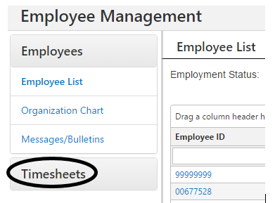 Timesheet